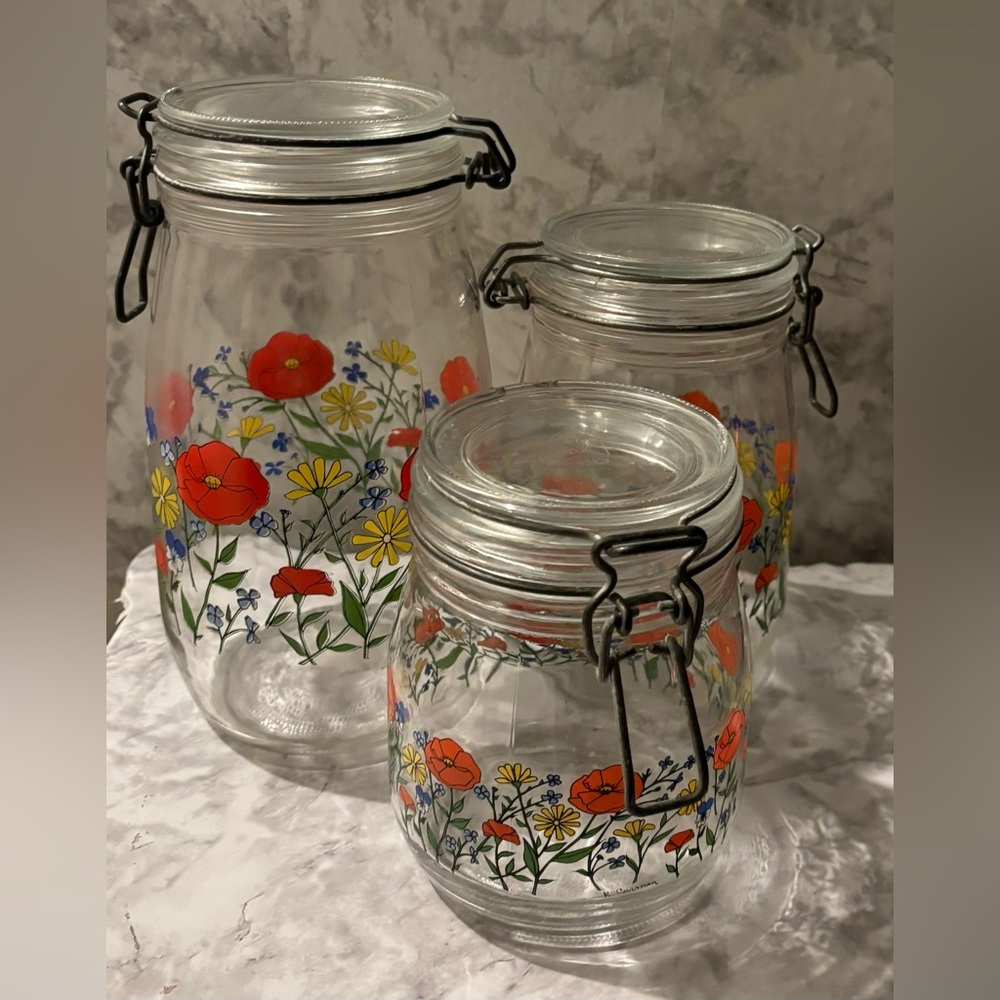 Vintage R. Carmen 1970s ARC France Wild Poppy Glass Canisters Set
